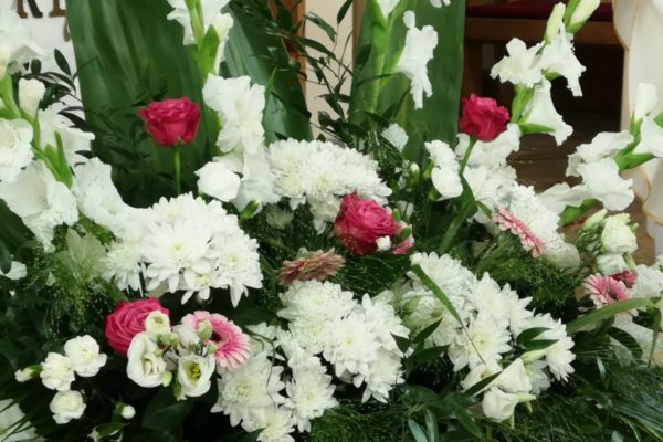 PHOTO-2019-05-26-19-13-42_1