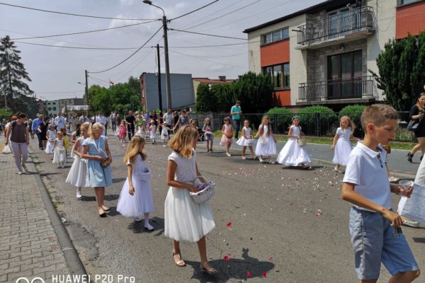 2491ec1c-59a9-4a19-af5d-08a213614d70